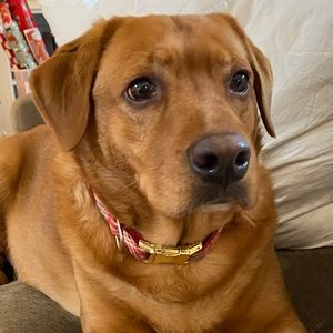 Meet your Posher, Blair